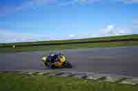 Lower Group Yellow Bikes
